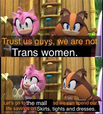 Trans Girls Be Like, Trans Jokes, Ace Pride, Lgbtq Funny, Rule 63, Embrace The Chaos, Trans Rights, Gay Memes, Girl Memes