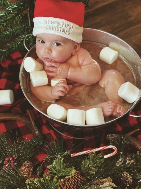 Holiday Baby Pictures, Baby Holiday Photos, Baby Milk Bath, Milk Bath Photos, Baby Christmas Photography, Christmas Baby Pictures, Milk Bath Photography, Baby Milestones Pictures, Baby Christmas Photos