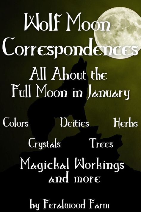 Learn about the Wolf Moon, January’s Full Moon. Learn about the history, alternative names, correspondences, and how to utilize its energy in your magickal workings. #witchcraft #fullmoon #moonmagic Moon Correspondences, January Full Moon, January Moon, Full Moon Names, Full Moon Spells, Thunder Moon, Sturgeon Moon, Moon Names, Cold Moon