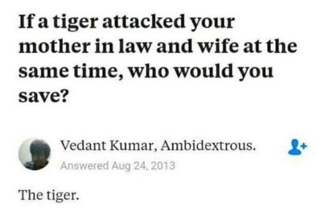 Wife Humor Marriage, Wife Memes, Tiger Attack, Couple Advice, Funny Marriage Advice, Funny Wife, You Are My Soul, Memes For Him, Elephants Never Forget