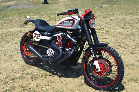 Harley Scrambler, Sportster Scrambler, Harley Davidson Scrambler, Hd Sportster, Harley Davidson Pictures, Free Ride, Harley Sportster, Cafe Racers, Cafe Racer