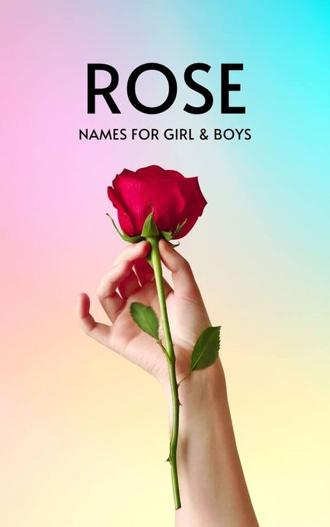 84 Names That Mean Rose (Boy & Girl) - Creative Nomenclature Names Meaning Flower, Welsh Names, Middle Names For Girls, Unique Boy Names, Morning Rose, Rose Garland, Creative Names, Rose Perfume, Unique Bouquet