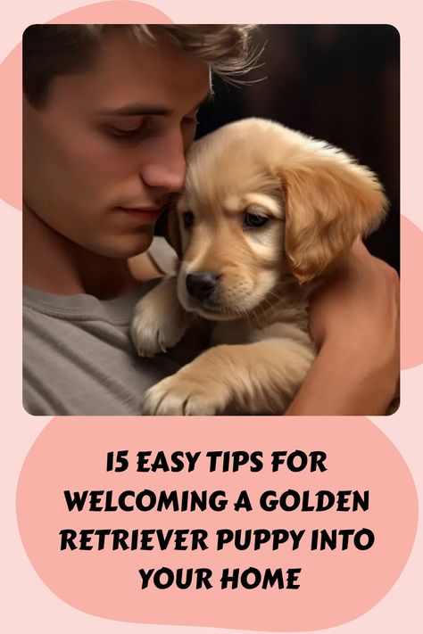 15 Easy Tips For Welcoming A Golden Retriever Puppy Into Your Home https://petsandfins.com/15-easy-tips-for-welcoming-a-golden-retriever-puppy-into-your-home Puppy Proofing House, Golden Retriever Care, Golden Retriever Puppy Training, Golden Retriever Grooming, Golden Retriever Training, English Golden Retrievers, Puppy Checklist, Puppy Time, Puppies Tips