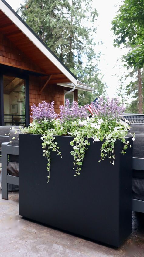 Planters On Deck, Portland Backyard, Tall Planter Boxes, Garden Entry, Apartment Remodel, Rectangular Planter Box, Deck Planters, Court Yard, Rectangle Planters