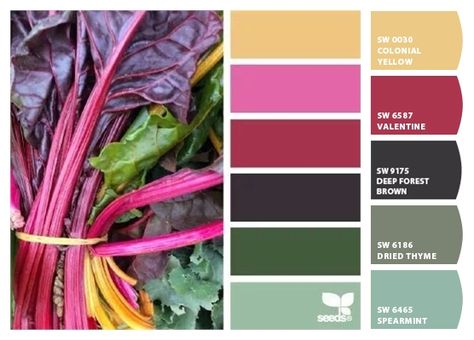 Paint colors from ColorSnap by Sherwin-Williams Seeds Color, Color Palate, Design Seeds, Radishes, Colour Palettes, Color Stories, Colour Schemes, Color Swatches, Color Pallets