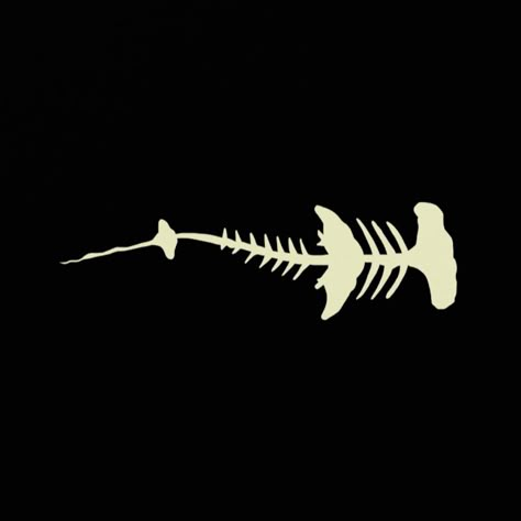 Hammerhead Shark Design Tattoo, Fine Line Hammerhead Tattoo, Hammerhead Shark Outline Tattoo, Hammerhead Shark Skeleton Tattoo, Hammerhead Shark Skeleton, Hammerhead Shark Drawing Cute, Noli Timere Tattoo, Hammerhead Shark Tattoo Design, Shark Skeleton Tattoo