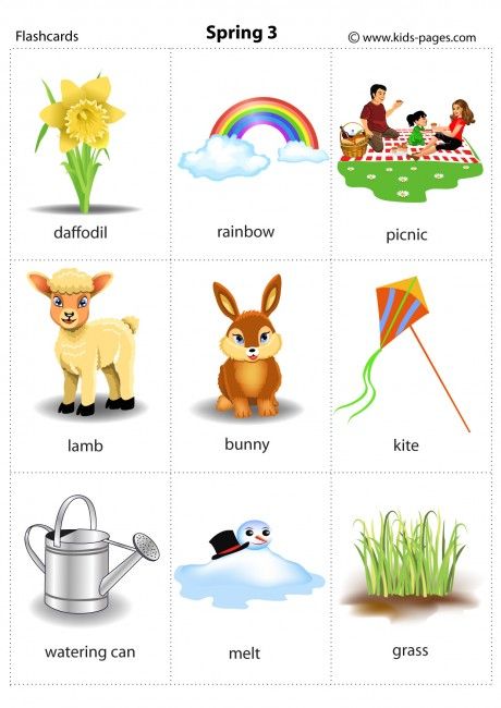 Spring Flashcards Free Printable, Spring Flashcards, Grass Printable, Rainbow Picnic, Mind Map Examples, Spring Vocabulary, Seasons Worksheets, Spring Worksheet, Phonics Posters