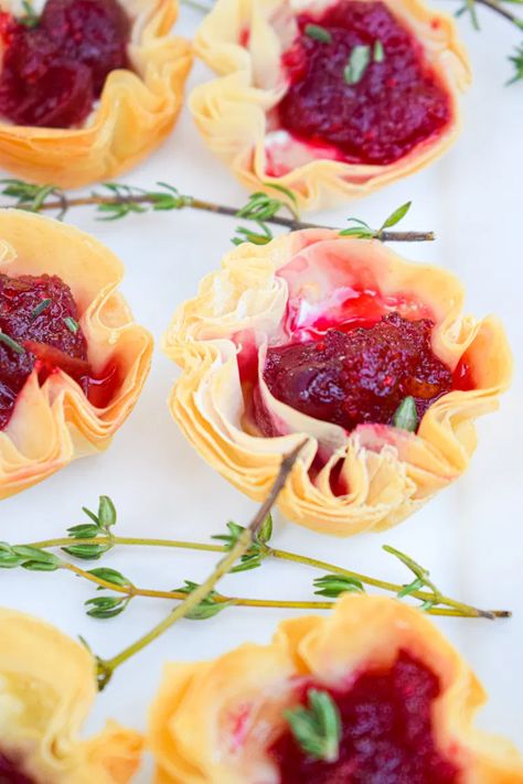 Brie & Cranberry Phyllo Mini Tarts - The Jam Jar Kitchen Filo Cups, Mushroom Tartlets, Baked Artichoke Dip, Brie Cranberry, Cranberry Tart, Appetizer Buffet, Vegan Crab, Baked Artichoke, The Best Appetizers