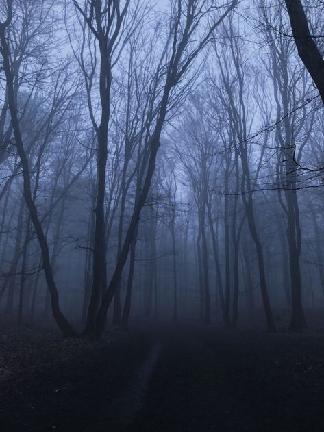 Relaxing Thoughts, Foggy Aesthetic, Swamp Scene, Cold Forest, Scary Photography, Gothic Landscape, Dark Weather, Dark Naturalism, Dark Forest Aesthetic