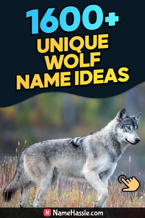 Cool And Catchy Wolf Names Ideas (Generator) Wolf Names Ideas, Wolf Name Generator, Wolf Names, Names Generator, Funny Wolf, Twilight Wolf, List Of Animals, Names Ideas, Name Ideas