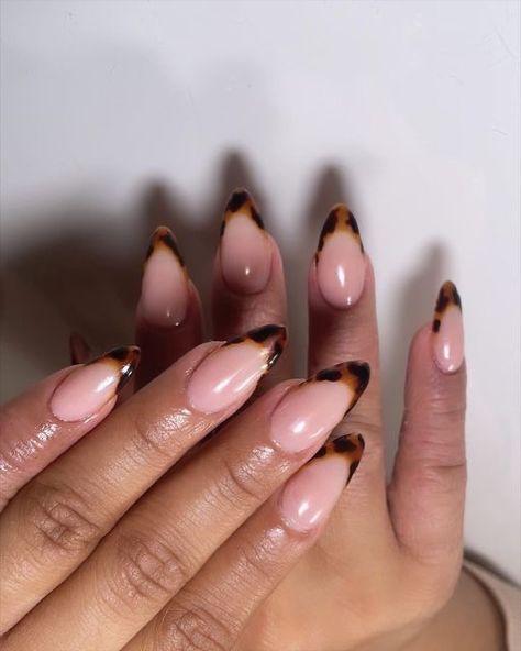 Tortoise Shell Nails French Tip Almond, Tortoise Tip Almond Nails, Nail Tortoise Shell, Tortoise Almond Nail Designs, Tortoise Nails Design French, Tortoise French Tip Nails Almond, Tortoiseshell Almond Nails, Tortie French Nails, Hailey Bieber Tortoise Nails