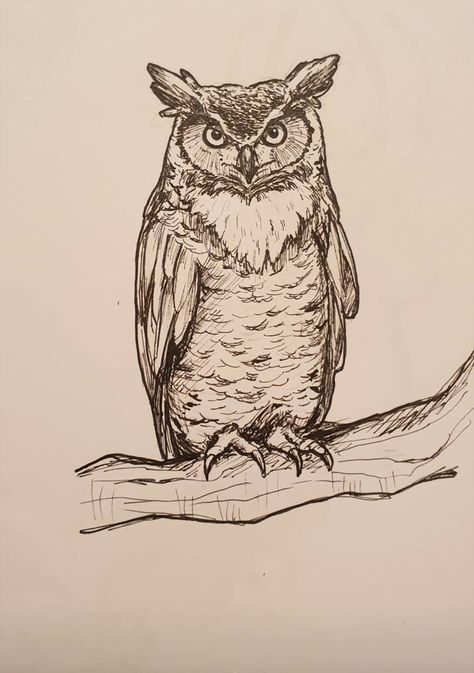 Owl In Tree Drawing, Owl Drawing Sketches, Owl Drawing, Nature Journaling, Inktober 2024, Owl Tree, Tree Sketches, Owls Drawing, Tree Drawing