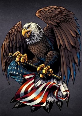 LARGE SIZE 10 Inches!!  Eagle holding USA flag Decal with FREE SHIPPING! Patriotic Pictures, American Flag Wallpaper, Eagle Pictures, Patriotic Art, American Flag Eagle, Flag Tattoo, Eagle Tattoos, Eagle Art, American Bald Eagle