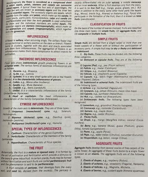 Morphology Of Flowering Plants Notes, Morphology Of Flowering Plants, Plant Notebook, Neet Notes, Learn Biology, Plant Notes, Biology Notes, Cartoon Girl Drawing, Flowering Plants