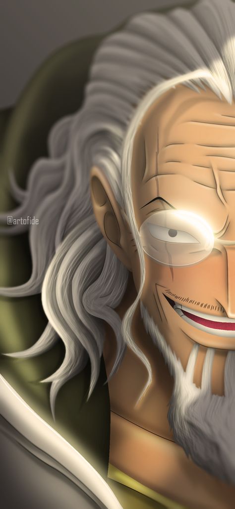 Rayleigh Wallpaper, Silver Rayleigh Wallpaper, Dark King Rayleigh, One Punch Man 1, Silvers Rayleigh, Dark King, One Piece Photos, One Piece Tattoos, Watch One Piece