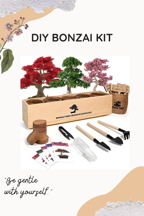 BEST DIY GIFT BONSAI KIT! #diy #bonsai #gifts #craft #grow Diy Bonsai, Bonsai Kit, Best Diy, Bonsai Tree, Gifts For Adults, Starter Kit, Lawn Garden, Diy Gift, Fun Diys