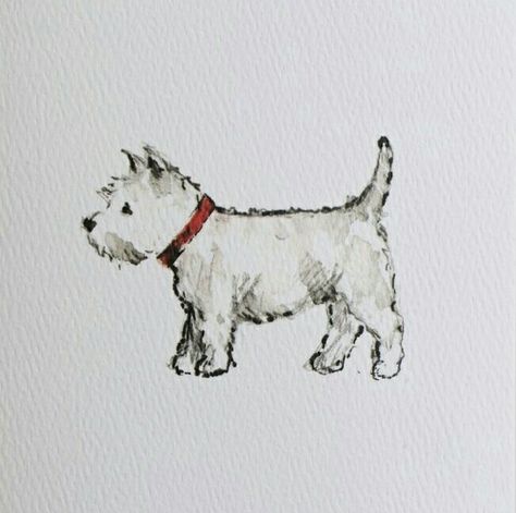 Terrier Tattoo, Dog Watercolor Painting, 강아지 그림, Westie Dogs, West Highland White, White Terrier, West Highland Terrier, White Dog, West Highland White Terrier