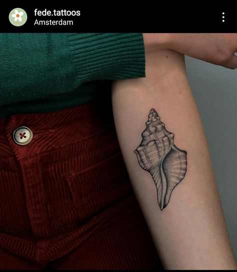 Horse Conch Shell Tattoo, Conch Tattoo, Tattoo Shell, Conch Shell Tattoo, Artist Thoughts, Anemone Tattoo, Seashell Tattoo, Shell Tattoo, Tattoo Japanese Style