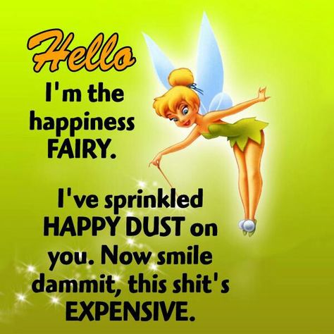 Hello.  I'm the happiness fairy.  I've sprinkled happy dust on you.  Now smile dammit, this shit's expensive. Tinkerbell Quotes, Tinkerbell Pictures, Tinkerbell Fairy, Quote Girl, Tinkerbell And Friends, Tinkerbell Disney, Fairy Pictures, Sassy Pants, Fairy Friends