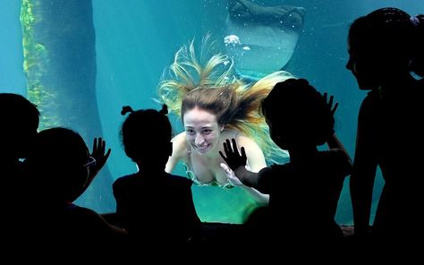 A 'mermaid' greets children at the aquarium in Sao Paolo, Brazil Three Mermaids, Diy Mermaid Tail, Professional Mermaid, Sao Paolo, School Vacation, Real Mermaids, Mermaid Pictures, Mermaids And Mermen, Mermaid Life