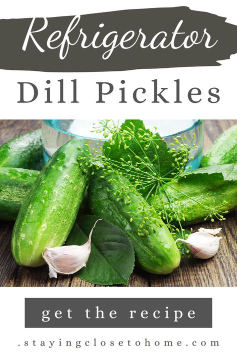 Refrigerator Dill Pickles, Homemade Vinegar, Kosher Pickles, Cucumber Uses, Refrigerator Pickles Dill, Refrigerator Pickle Recipes, Homemade Pickles Dill, Kosher Dill Pickles, Pickle Recipes Homemade