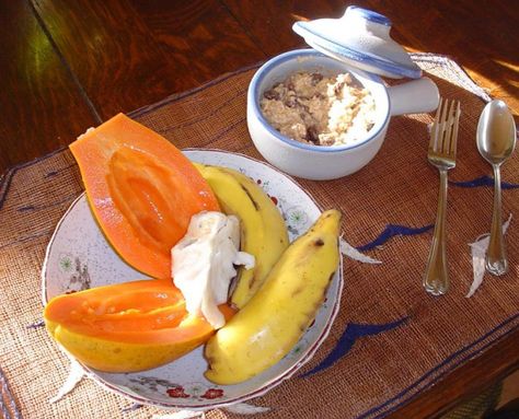 Oatmeal with fresh fruit Gerson Recipes, Gerson Diet, Nutrition Jobs, Gerson Therapy, Joel Fuhrman, Joe Cross, Gerson, Nutrition Guide, Healing Food