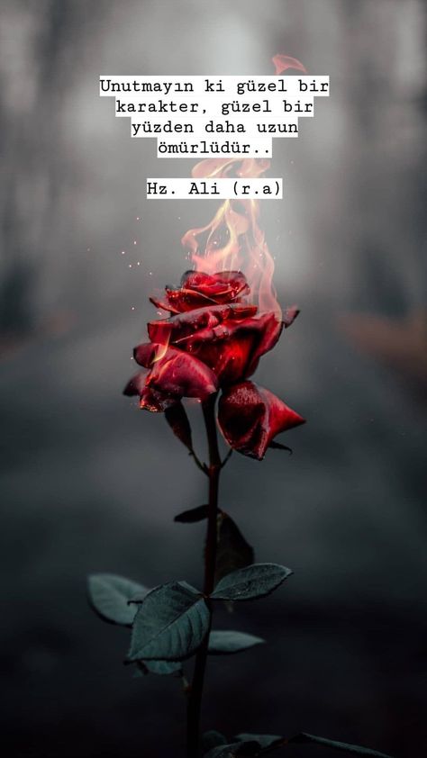 Good Sentences, Allah Islam, Galaxy Wallpaper, Islamic Quotes, Cool Words, Fig, Life Quotes, Quotes, For Sale