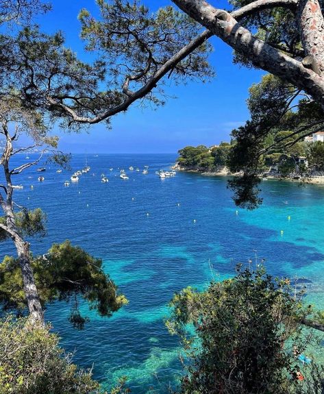 Paloma Beach Cap Ferrat, French Beach Aesthetic, French Beach House, French Riviera Aesthetic, Paloma Beach, Houses By The Beach, Saint Jean Cap Ferrat, French Beach, France Summer