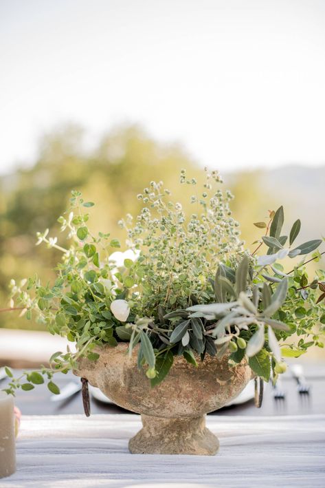 Wedding inspiration in earthy tones set amidst Tuscan olive groves | Tuscany Wedding Inspiration | Gallery | Item 44 Rustic Italian Centerpieces, Tuscan Wedding Ceremony Decor, Tuscan Wedding Decor Rustic Italian, Wedding Flowers Tuscany, Olive Centerpiece Wedding, Olive Branch Wedding Florals, Tuscan Wedding Centerpieces, Tuscan Countryside Wedding, Olive Branch Flower Arrangement