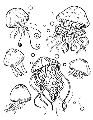 Jellyfish Coloring Page Jellyfish Coloring Page, Jellyfish Coloring, Fish Coloring Page, Jellyfish Art, Rainbow Canvas, Printable Animals, Creature Drawings, Animal Coloring, Ocean Animals