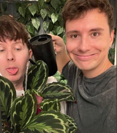 Dan And Phill, Phil 3, Reaction Pic, I Cant Do This, Phil Lester, Reaction Pics, Dan And Phil, Reaction Pictures, Real People