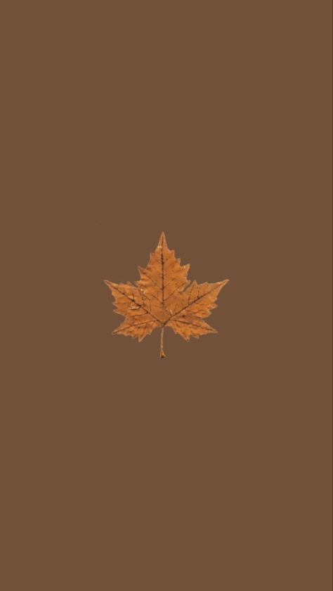 Matching Autumn Wallpapers, Autumn Wallpaper Iphone Aesthetic Simple, Early Autumn Wallpaper, Orange Fall Wallpaper Aesthetic, Fall Theme Iphone Wallpapers, Autumn Astetic Wallpaper, Fall Theme Iphone, Brown Autumn Wallpaper, Fall Aesthetic Wallpaper Simple