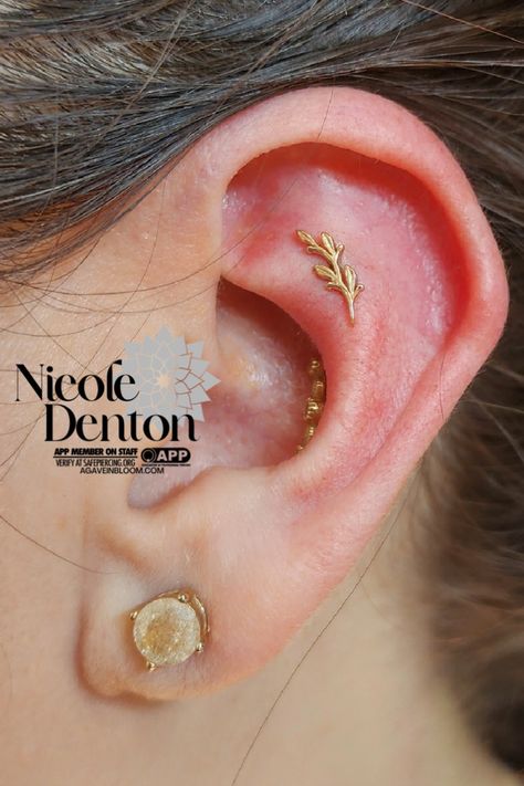 Flat And Conch Piercings, Conch And Flat Piercing, Ear Piercings Orbital Conch, Conch And Auricle Piercing, Flat Ear Piercing, Conch Piercing Curved Stud, Thick Conch Earring, Ear Piercings Placement Chart, Bvla Jewelry