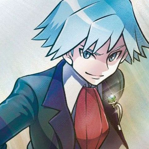 Pokemon Steven, Pokemon Icon, Steven Stone, Valentines Roses, Pokemon Special, Best Profile Pictures, Pokemon Games, My Pokemon, Pokemon Characters