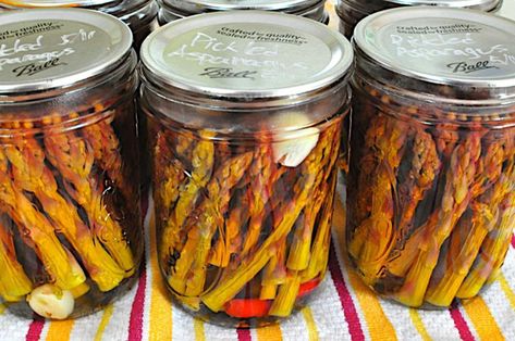 Spicy Pickled Asparagus Recipe, Pickled Asparagus Recipe, Pickled Asparagus, Canning Pickles, Canned Food Storage, Pickled Garlic, Homemade Pickles, Pickled Veggies, Hot Peppers