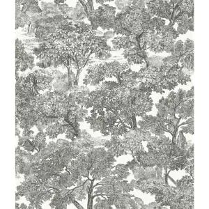 Chesapeake Blyth Brown Toile Brown Wallpaper Sample-3112-002719SAM - The Home Depot Black Toile Wallpaper, Vinyl Wall Panels, Stripped Wallpaper, Farmhouse Wallpaper, Black Toile, Brewster Wallpaper, Linear Art, Toile Wallpaper, Toile Pattern