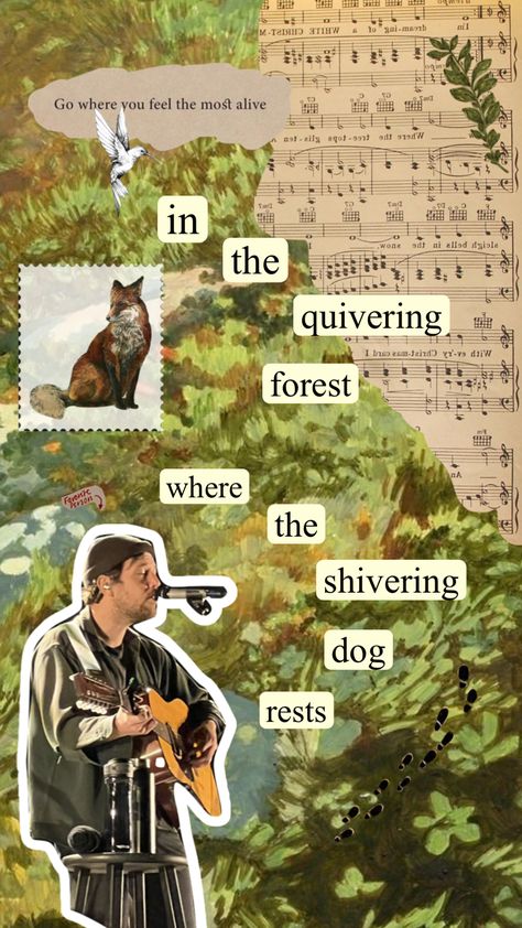 Fleet Foxes Aesthetic, Fleet Foxes Lyrics, Foxes Aesthetic, Dorm Pictures, Fleet Foxes, Hozier, Folk Music, Music Tv, Iphone Wallpapers