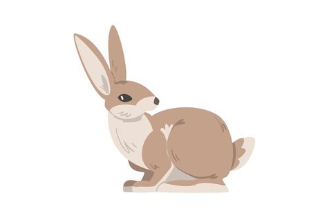 Sitting Hare or Jackrabbit as Swift Animal with Long Ears and Grayish Brown Coat Vector Illustration. Lepus or Rabbit as Fast Running and Leaping Woodland Mammal Concept Jumping Hare, Fast Running, Jack Rabbit, Greyish Brown, Brown Coat, Nature Pictures, Pluto The Dog, Mammals, Swift