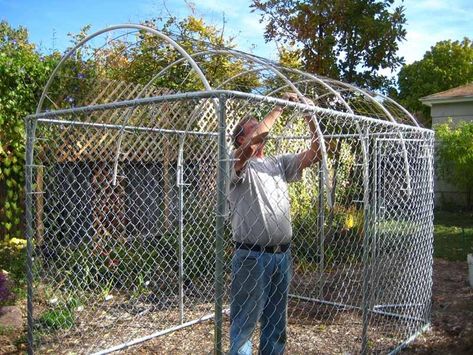 Dog Kennel Roof, Dog Kennel Cover, Kennel Cover, Diy Dog Kennel, Outside Dogs, Dog Yard, Build A Greenhouse, Dog Pen, Dog Kennel Outdoor