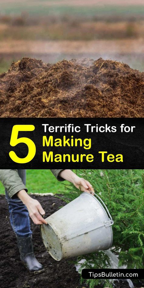 Chicken Manure Tea, Tea Fertilizer, Allotment Planning, Compost Tea Recipe, Compost Tea Brewer, Chicken Composting, Worm Farm Diy, Manure Tea, Garden Tricks