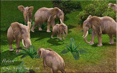 Helen-sims: Animals - elephants (Part 4) Sims 4 Elephant Cc, Animals Elephants, The Sims 3, Cc Sims, Sims 4 Mods, Sims 3, The Sims 4, Part 4, Sims Cc