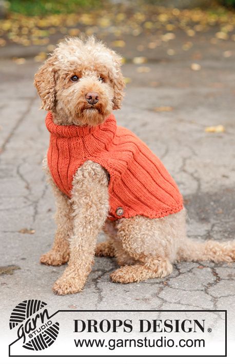 Outdoor Fun / DROPS 102-45 - Free knitting pattern Knitted Dog Sweater Pattern, Knitting Patterns Free Dog, Dog Sweater Pattern, Knit Dog Sweater, Dog Jumpers, Dog Clothes Patterns, Felt Cat, Dog Sweaters, Sweater Coat