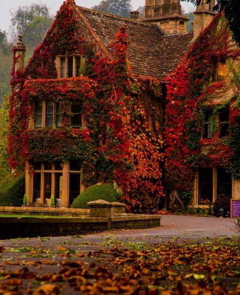 Crumble Apple Pie, Plum Crumble, Fall Beauty, Autumn Love, Autumn Leaves Photography, Aesthetic Autumn, Look At The Sky, Autumn Nature, Autumn Scenery