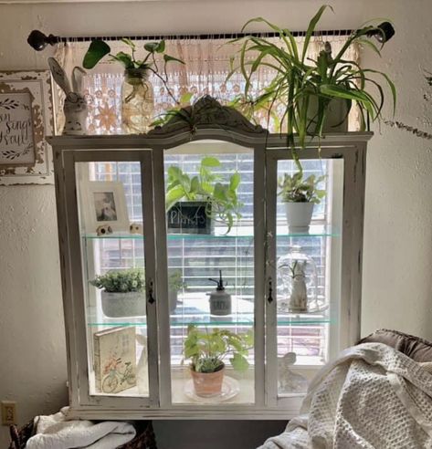 Diy Hutch Makeover, Repurposed China Cabinet, Glass China Cabinet, Repurposed China, Plant Window, Indoor Greenhouse, Thrift Store Furniture, Indoor Window, Facebook Groups