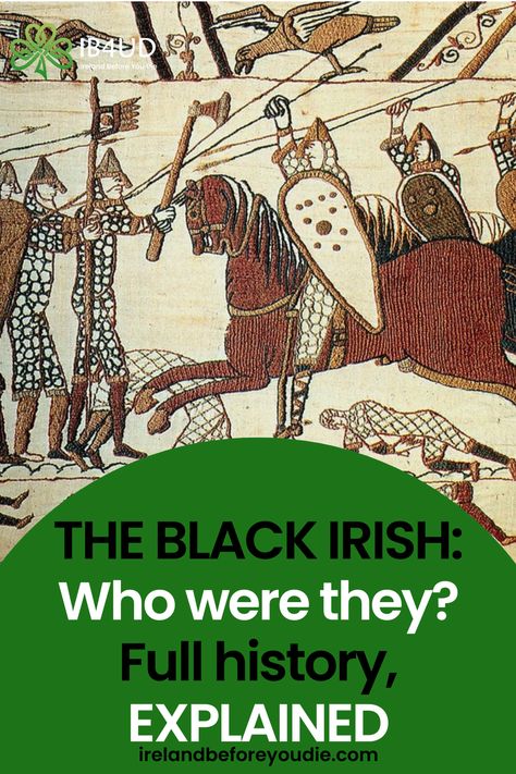 The term ‘Black Irish’ gets thrown around from time to time. But have you ever wondered where it comes from? Irish History Aesthetic, Fun Facts About Ireland, Irish Myths And Legends, Irish History Facts, The Book Of Kells Dublin Ireland, Irish Surnames, Black Irish, Irish Country, Ancient Ireland