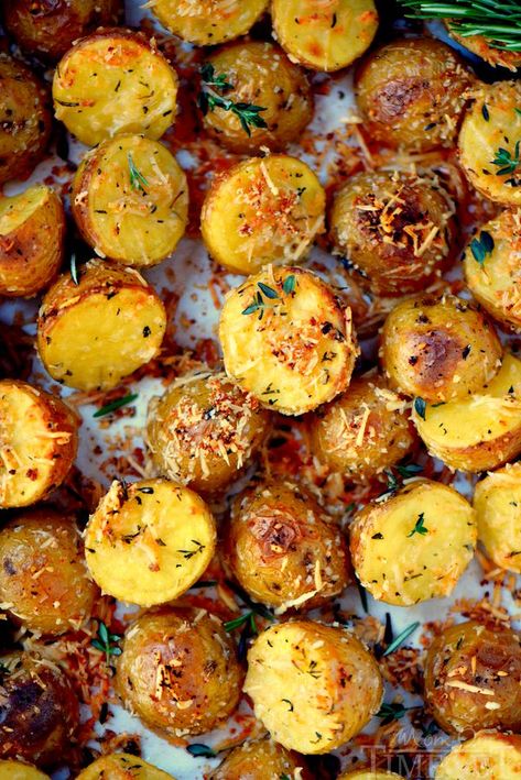 Roasted Small Potatoes, Small Potatoes Recipe, Gold Potato Recipes, Garlic Parmesan Potatoes, Small Potatoes, Garlic Roasted Potatoes, Oven Roasted Potatoes, Parmesan Potatoes, Baked Potato Recipes