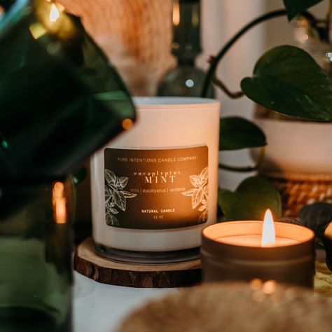 Feeling the vibes of our Moody Spring moods? Dive into the refreshing energy of the season with our Eucalyptus Mint candle! Whether you're unwinding after a long day or adding a touch of tranquility to your space, let the invigorating scent of eucalyptus and mint elevate your mood. How are you enjoying our Moody Spring? Share your moments with us! 🍃✨ #MoodySpringMagic #EucalyptusMint #FreshAndRevitalizing #candles #scentedcandles #candleshop #handpouredcandles #luxurycandles #naturalcandle... Eucalyptus Mint Candle, Mint Candle, Spring Magic, Spring Scents, Eucalyptus Mint, Intention Candles, Spring Mood, Natural Candles, Candle Companies