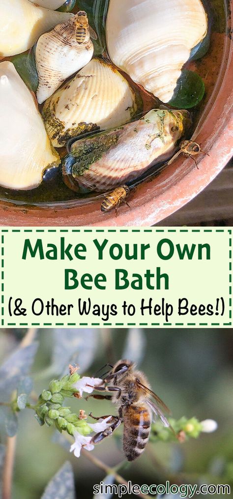 Bee Fountain Diy, Bee Drinking Station Diy, Water For Bees Ideas, Butterfly And Bee Water Station, Diy Bee Cups For Garden, Bee Watering Station Diy, Bee Feeder Diy, Bee Bath Diy, Bee Baths