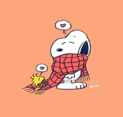 Quotes For Him Good Morning, Good Morning Quotes Inspirational, Morning Quotes Inspirational, Inspirational Good Morning Quotes, Woodstock Snoopy, Quotes Good Morning, Snoopy Cartoon, Good Morning Quotes For Him, Morning Quotes For Him