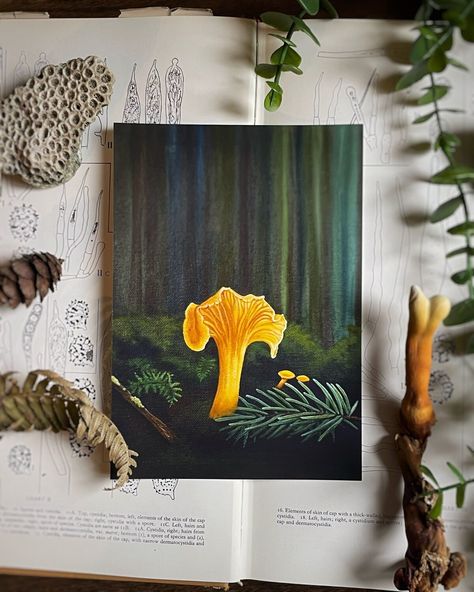 Mushroom Acrylic Painting, Forest Acrylic Painting, Mushroom Wall Art, Fungi Art, Mushroom Paint, Woodland Wall Art, Woodland Wall, Eclectic Gallery Wall, Acrylic Paint On Canvas